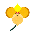 flor2